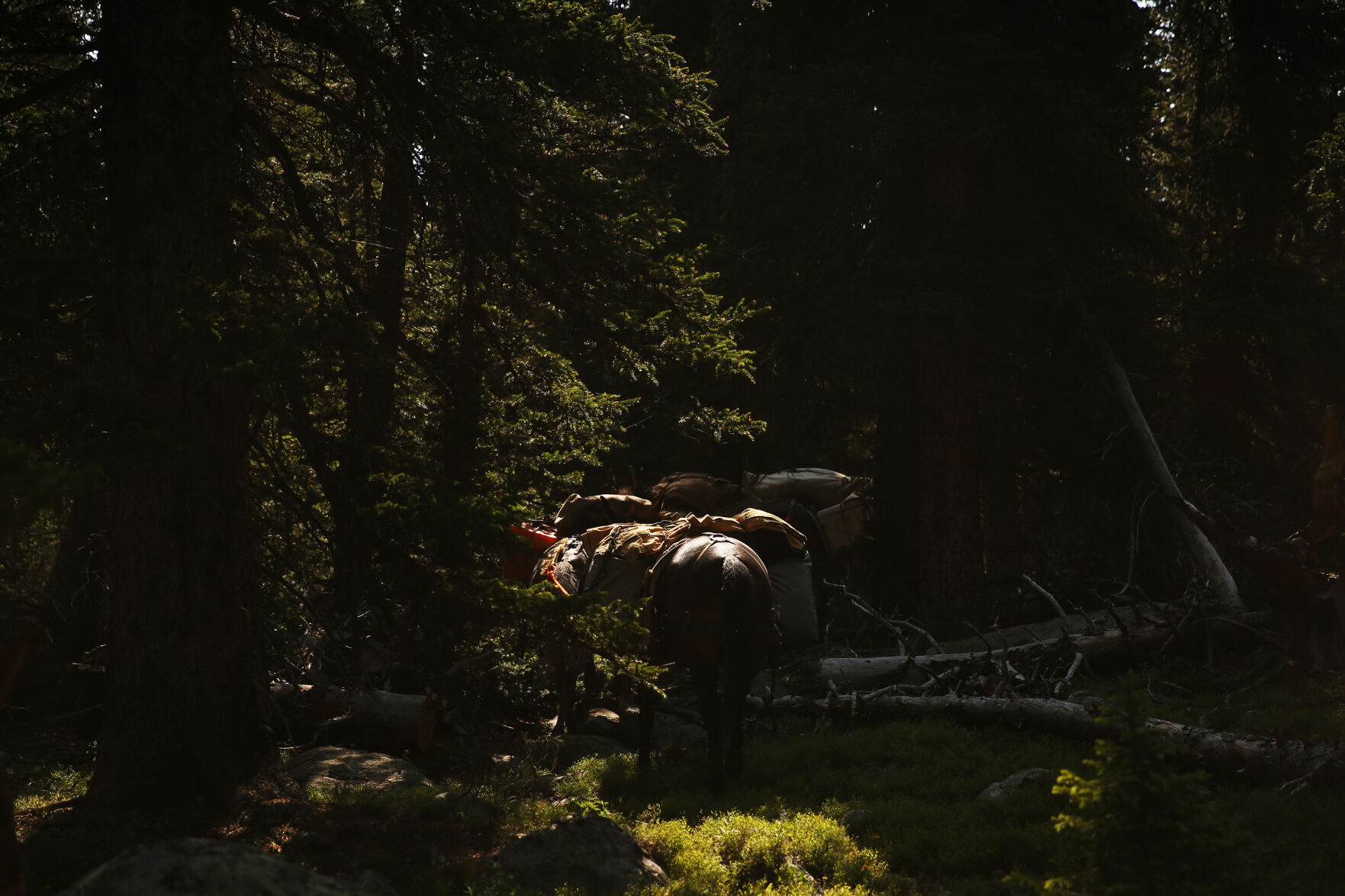 Black Tooth Excursions is one of several outfitting groups